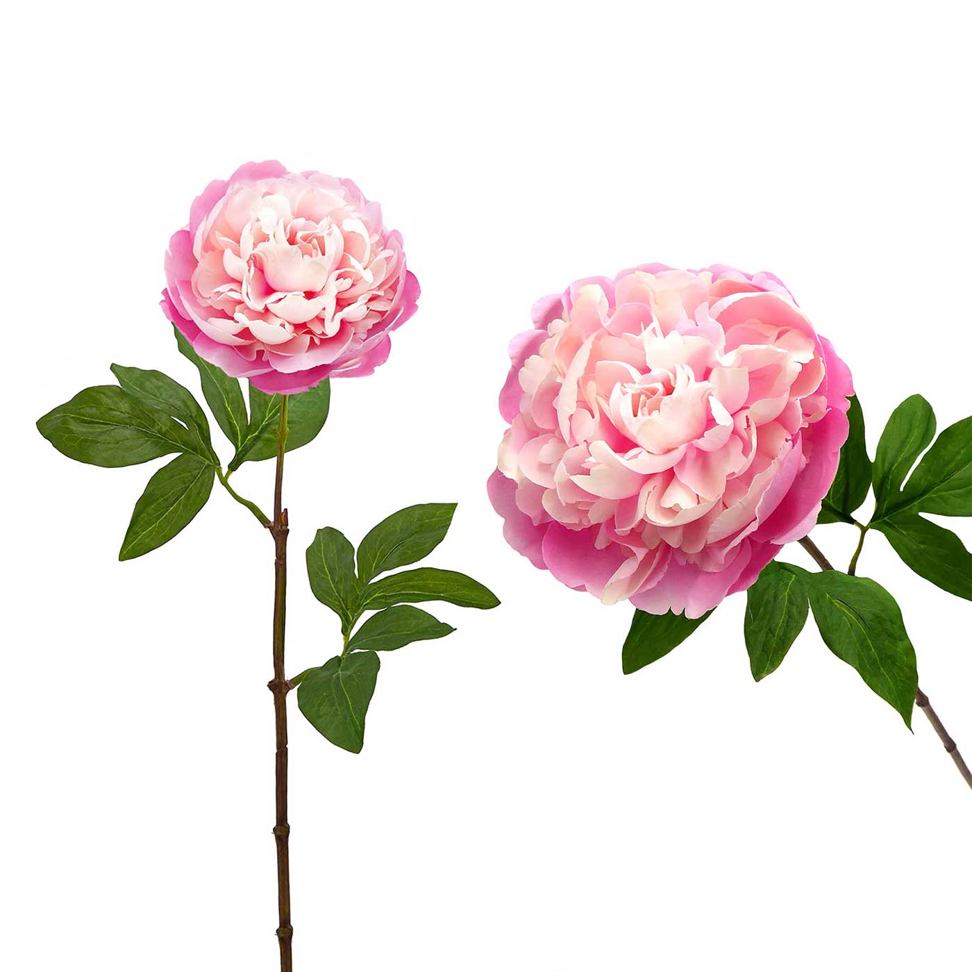 Set 2 künstliche Pfingstrosen Seide Höhe 65 cm Rosa Farbe